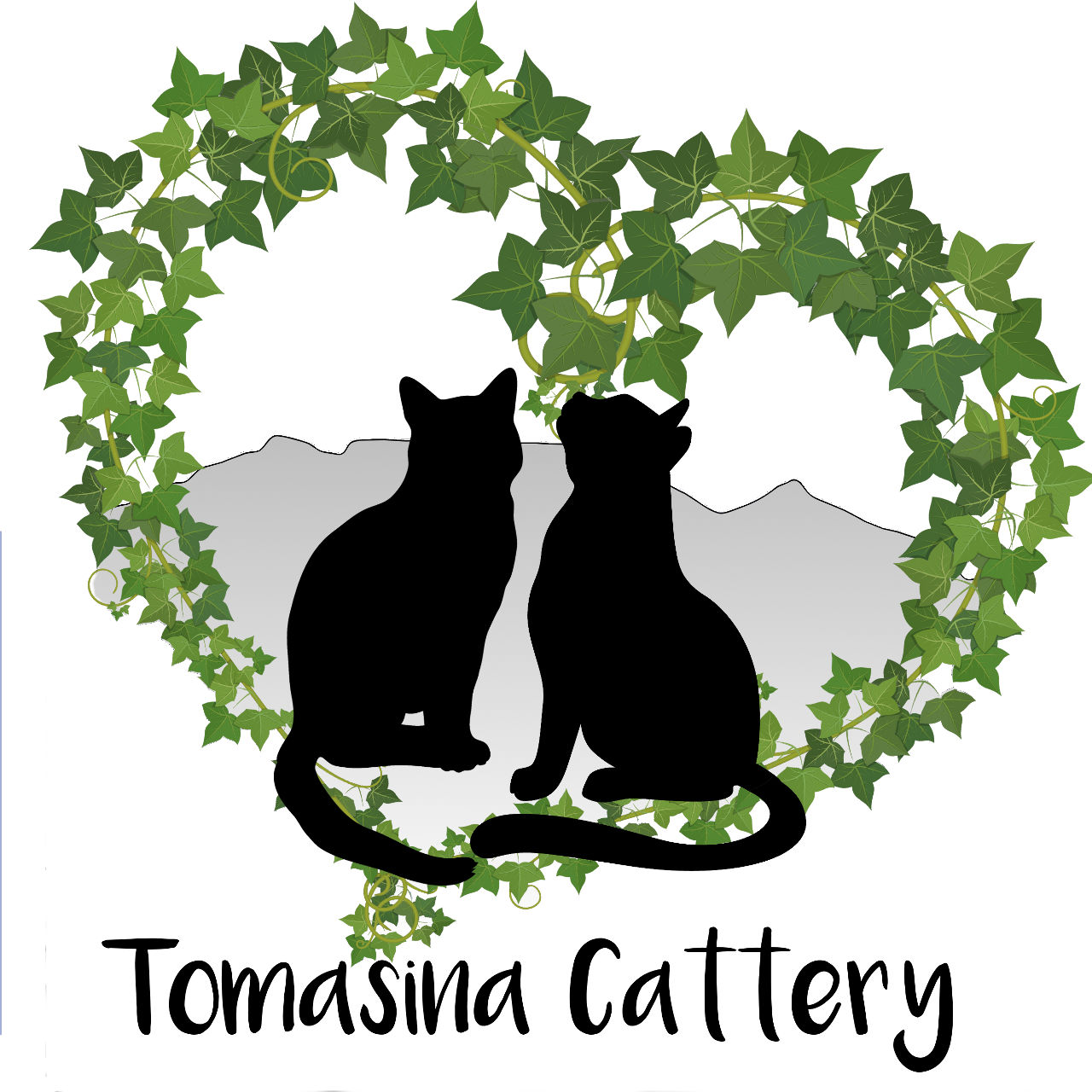 Tomasina Cattery